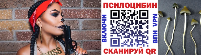 Псилоцибиновые грибы Cubensis  Сыктывкар 
