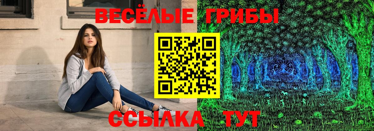Сыктывкар  Галлюциногенные грибы Psilocybe  Вход с VPN 