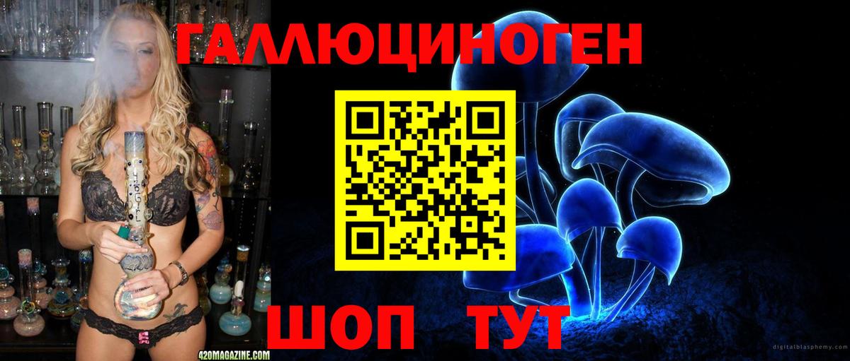 Псилоцибиновые грибы Psilocybe Сыктывкар